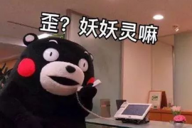 孝昌债务清欠服务